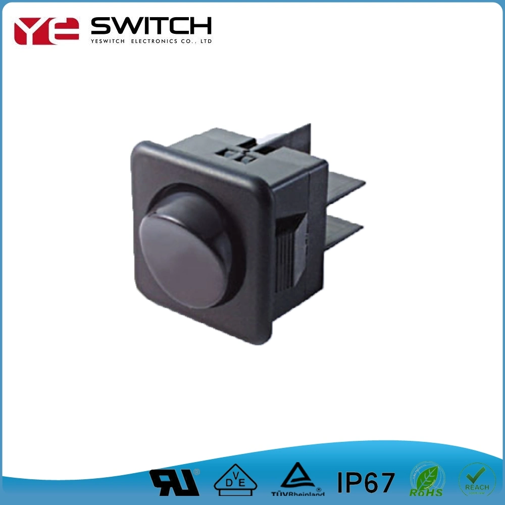 Neon Illuminated 2p-6p Rocker Switch